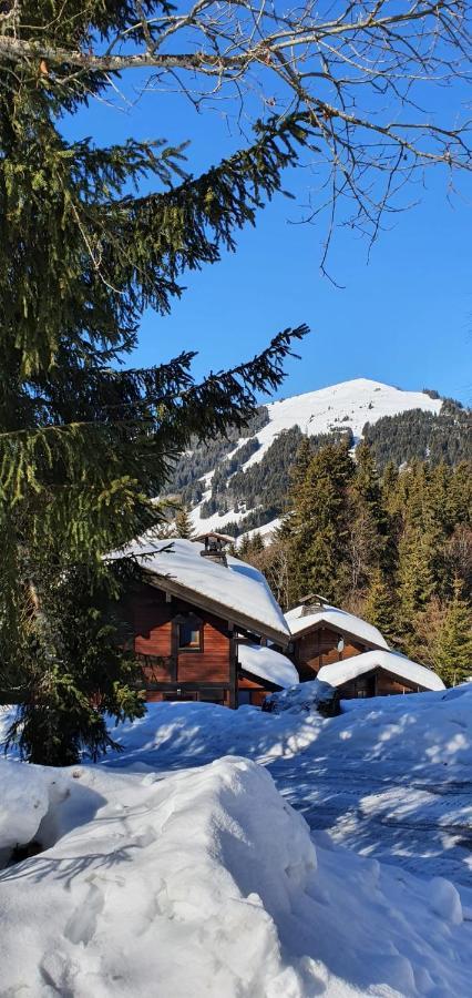 Le Chalet De Nabor Les Gets Exterior foto